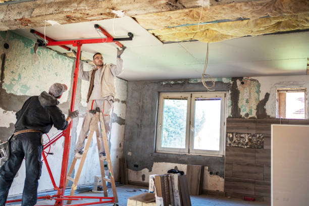 Best Insulation for New Construction  in Rising Sun Lebanon, DE