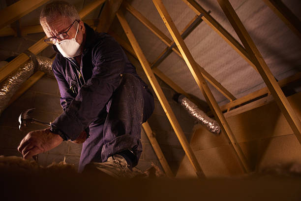 Best Energy-efficient Insulation  in Rising Sun Lebanon, DE